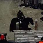 Robin Hood Origins 35