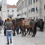 Photo Gallery: Robin Hood Action on Stradun! 18 Robin Hood Stradun 18