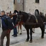 Photo Gallery: Robin Hood Action on Stradun! 19 Robin Hood Stradun 19