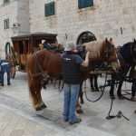 Photo Gallery: Robin Hood Action on Stradun! 20 Robin Hood Stradun 20