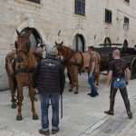 Photo Gallery: Robin Hood Action on Stradun! 21 Robin Hood Stradun 21