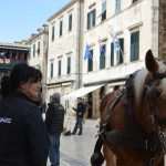 Photo Gallery: Robin Hood Action on Stradun! 23 Robin Hood Stradun 23