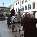 Photo Gallery: Robin Hood Action on Stradun! 25 Robin Hood Stradun 25