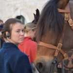 Photo Gallery: Robin Hood Action on Stradun! 35 Robin Hood Stradun 35