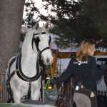 Photo Gallery: Robin Hood and Maid Marian to be Married in Dubrovnik? 11 Robin Hood Wedding 11