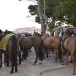 Photo Gallery: Robin Hood and Maid Marian to be Married in Dubrovnik? 24 Robin Hood Wedding 24