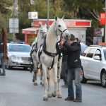 Photo Gallery: Robin Hood and Maid Marian to be Married in Dubrovnik? 9 Robin Hood Wedding 9