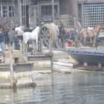 Video & Big, Big Photo Gallery: On the Set of 'Robin Hood: Origins'! 65 RobinHood Second Day 65