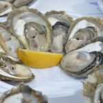 Photo Gallery: With a Pinch of Salt - The Festival of Oysters in Ston! 17 Festival of Oysters 17