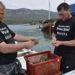 Photo Gallery: With a Pinch of Salt - The Festival of Oysters in Ston! 18 Festival of Oysters 18