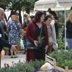 Photo Gallery: Beautiful Flower Fair to Mark the Spring Time 13 Flower Fair 13