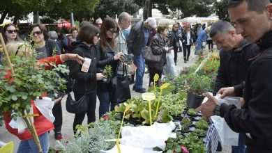 Photo Gallery: Beautiful Flower Fair to Mark the Spring Time 6 Flower Fair 20