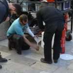 Photo Gallery: Jamie Dornan Does Some Serious Action on Stradun! 52 Jamie Dornan on Set 50