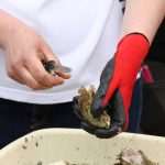 Photo Gallery: Everybody Loves Oysters! 10 Oysters Fest 10