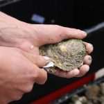 Photo Gallery: Everybody Loves Oysters! 32 Oysters Fest 32