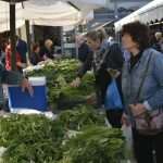 Photo Gallery: Great Atmosphere and Amazing Offer on Our Fish and Green Market 11 Fish and Green Market Good Friday 11