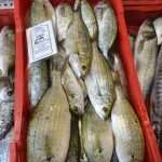 Photo Gallery: Great Atmosphere and Amazing Offer on Our Fish and Green Market 14 Fish and Green Market Good Friday 14