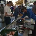 Photo Gallery: Great Atmosphere and Amazing Offer on Our Fish and Green Market 18 Fish and Green Market Good Friday 18