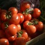 Photo Gallery: Great Atmosphere and Amazing Offer on Our Fish and Green Market 2 Fish and Green Market Good Friday 2