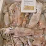 Photo Gallery: Great Atmosphere and Amazing Offer on Our Fish and Green Market 21 Fish and Green Market Good Friday 21