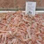 Photo Gallery: Great Atmosphere and Amazing Offer on Our Fish and Green Market 22 Fish and Green Market Good Friday 22