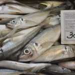 Photo Gallery: Great Atmosphere and Amazing Offer on Our Fish and Green Market 24 Fish and Green Market Good Friday 24