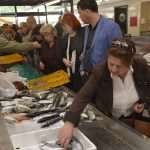 Photo Gallery: Great Atmosphere and Amazing Offer on Our Fish and Green Market 25 Fish and Green Market Good Friday 25