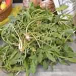 Photo Gallery: Great Atmosphere and Amazing Offer on Our Fish and Green Market 4 Fish and Green Market Good Friday 4