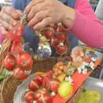 Photo Gallery: Great Atmosphere and Amazing Offer on Our Fish and Green Market 5 Fish and Green Market Good Friday 5