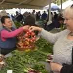 Photo Gallery: Great Atmosphere and Amazing Offer on Our Fish and Green Market 6 Fish and Green Market Good Friday 6