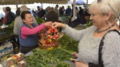 Fish and Green Market Good Friday 6