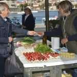 Photo Gallery: Great Atmosphere and Amazing Offer on Our Fish and Green Market 7 Fish and Green Market Good Friday 7