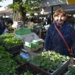 Photo Gallery: Great Atmosphere and Amazing Offer on Our Fish and Green Market 8 Fish and Green Market Good Friday 8