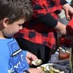 Photo Gallery: Festival of Oysters Attracted Many Visitors on Stradun This Saturday 22 Oysters 22