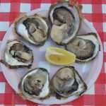 Photo Gallery: Festival of Oysters Attracted Many Visitors on Stradun This Saturday 8 Oysters 8