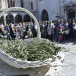 Photo Gallery: Palm Sunday in Dubrovnik 29 Palm Sunday 28