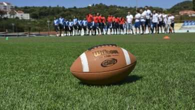 Photo Gallery: Little Something for Every Football Lover, by Dubrovnik Sharks 27 Dubrovnik Sharks 5