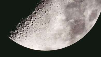 Moon Moonlight Full Moon