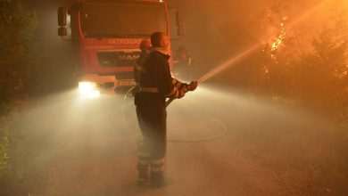 Fire Horror Dalmatia