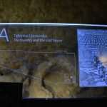 Photo Gallery: Monumental Minčeta Fortress Opened 18 Minceta Fortress 26