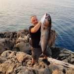 Amazing! Great, the Greater Amberjack Caught in Konavle! 1 The Greater Amberjack 1