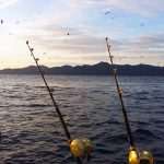 Extreme Fishing BOTA Just Dubrovnik 1