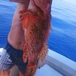 Extreme Fishing BOTA Just Dubrovnik 7