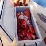 Extreme Fishing BOTA Just Dubrovnik 8