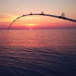 Extreme Fishing BOTA Just Dubrovnik 9