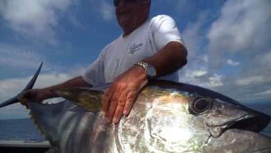 Extreme Fishing Bota Dubrovnik DU LIST 9