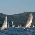 One Frame Media South Dalmatian Regatta 6