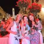 Photo Gallery: Thousand (and One) Roses On Stradun 7 Roses For Dubrovnik 10