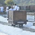Video and Photo Gallery: We Spent a Day in a Saltern Ston Picking Up 'Fleur de Sel'... 14 Salt Collecting Ston 12