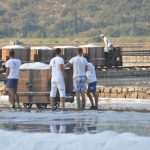 Video and Photo Gallery: We Spent a Day in a Saltern Ston Picking Up 'Fleur de Sel'... 16 Salt Collecting Ston 14